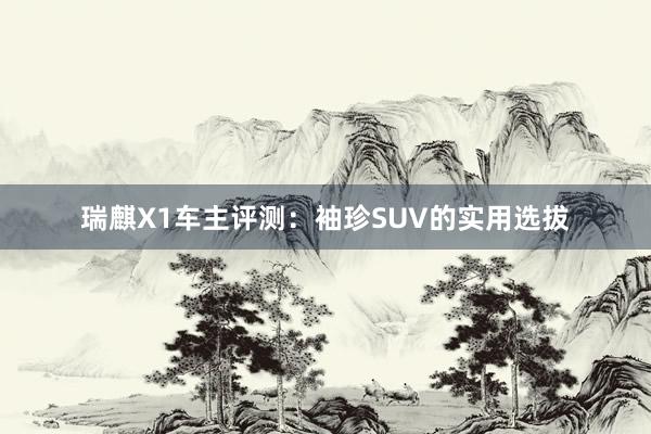 瑞麒X1车主评测：袖珍SUV的实用选拔